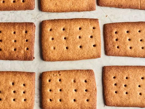 Homemade Graham Crackers Recipe (with White and Wheat Flours) | The Kitchn Graham Crackers Recipe, Honey Graham Crackers, Graham Flour, Graham Cracker Recipes, Wheat Crackers, Crackers Recipe, Homemade Graham Crackers, Waffle Cookies, Cracker Recipes