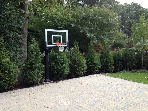 Joseph P's Pro Dunk Silver Basketball System on a 26x22 in Arlington, VA - Traditional - Landscape - Baltimore - by Pro Dunk Hoops | Houzz Front Yard Driveway, Backyard Basketball Court, Driveway Parking, Basketball Court Backyard, Backyard Basketball, Hoops Basketball, Basketball Systems, Parking Area, Basketball Goals