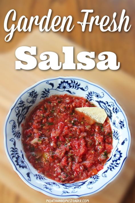 bowl of garden fresh homegrown homemade salsa made with our family's favorite recipe using tomatoes peppers onions garlic cilantro and lime Fresh Garden Salsa, Garden Salsa Recipe, Garden Fresh Salsa, Salsa Garden, Garden Salsa, Fresh Salsa Recipe, Homemade Garden, Spanish Foods, Salsa Recipes