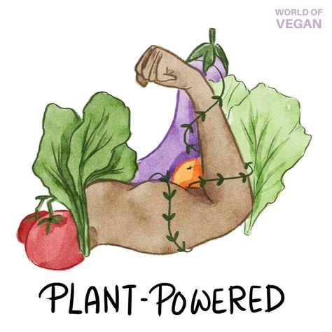 Plant Based Quotes Inspirational, Plant Based Illustration, Vegan Art Illustration, Vegan Aesthetic Art, Vegan Drawing, Plant Based Quotes, Types Of Vegans, Reasons To Be Vegan, Vegan Simple