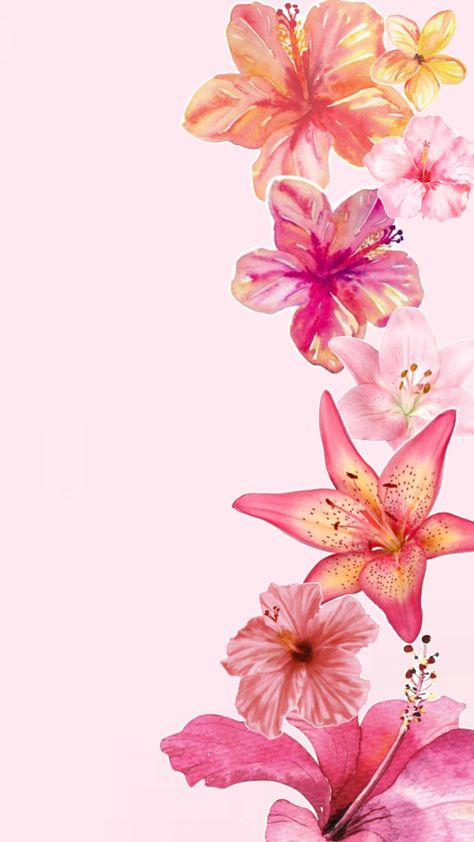 Summer Themed Wallpaper, Flower Lockscreen, Summer Prints Wallpaper, Plain Wallpaper Iphone, Pink Wallpaper Ipad, Cute Home Screen Wallpaper, Cute Summer Wallpapers, Wallpaper Iphone Summer, Flower Collage