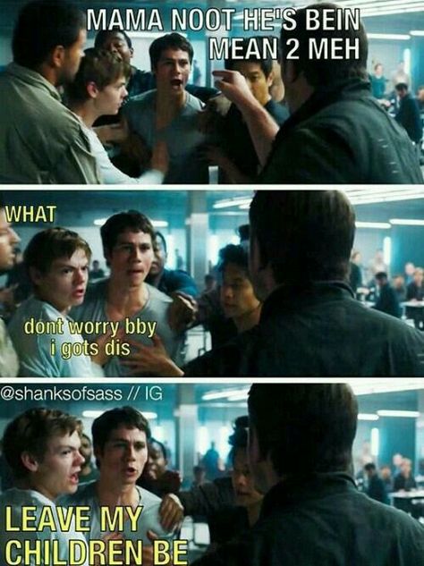 Mama Noot, Mama Newt, Maze Runner Thomas, Maze Runner Trilogy, Maze Runner Funny, Maze Runner Imagines, Maze Runner Cast, Scorch Trials, Maze Runner Movie