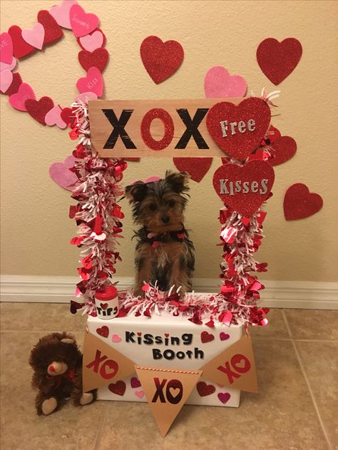 Diy Dog Kissing Booth, Valentine’s Day Dog Photo Shoot, Dog Valentine Photos, Dog Valentines Day Photoshoot, Dog Kissing Booth, Cat Photo Ideas, Valentines Photo Booth, Dog Jerky, Dog Photo Shoot