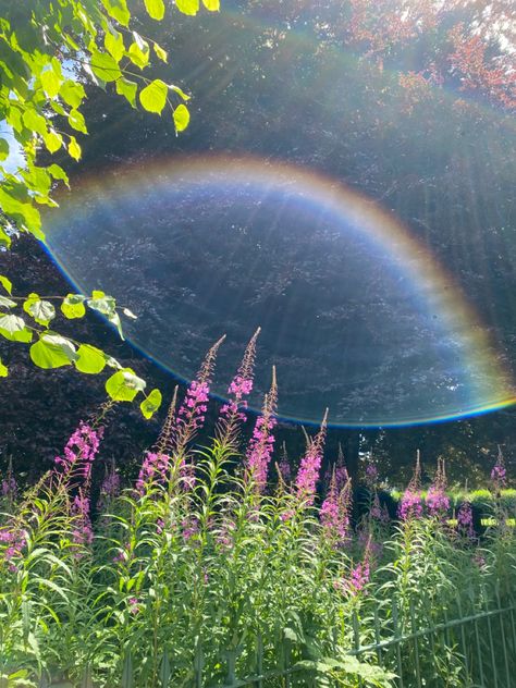 Moss Fairy Aesthetic, Colorful Fairy Aesthetic, Summer Fairy Aesthetic, Rainbow Fairy Aesthetic, Leprechaun Aesthetic, Earth Magic Aesthetic, Nature Fairy Aesthetic, Earth Fairy Aesthetic, Fairy Magic Aesthetic