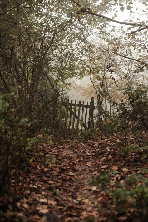 Magic Garden, Have Inspiration, Garden Gate, Autumn Garden, English Countryside, Autumn Aesthetic, Garden Gates, Shade Garden, Country Life