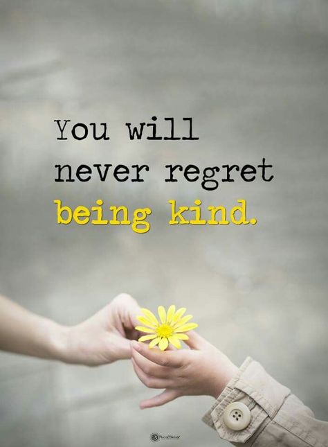 ‘You will never regret being kind.’ #quotes #quote #kindneS A Course In Miracles, Being Kind, Never Regret, Kindness Quotes, Intj, Quotes For Kids, Beautiful Quotes, Morning Quotes, Meaningful Quotes