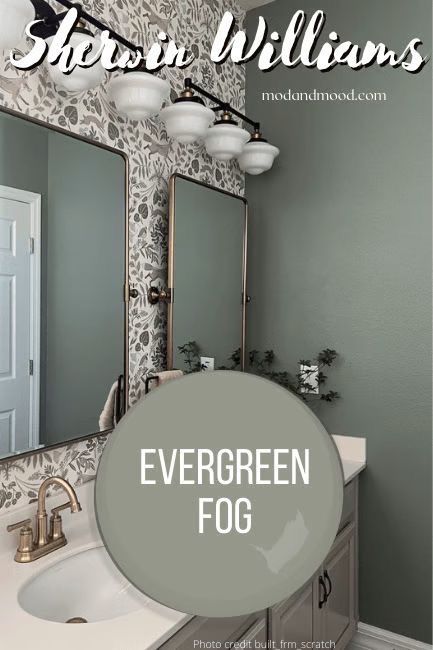 Carolina Gull, Sherwin Williams Evergreen Fog, Evergreen Fog, House Color Palettes, Oyster Bay, With Wallpaper, Colors For Home, Updating House, Decoration Inspiration