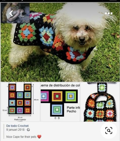 Granny Square Dog Sweater Pattern, Dog Crochet Sweater, Crochet Dog Sweater Free Pattern, Dog Sweater Crochet, Crochet Dog Clothes, Dog Sweater Crochet Pattern, Dog Sweater Pattern, Crochet Dog Patterns, Crochet Dog Sweater