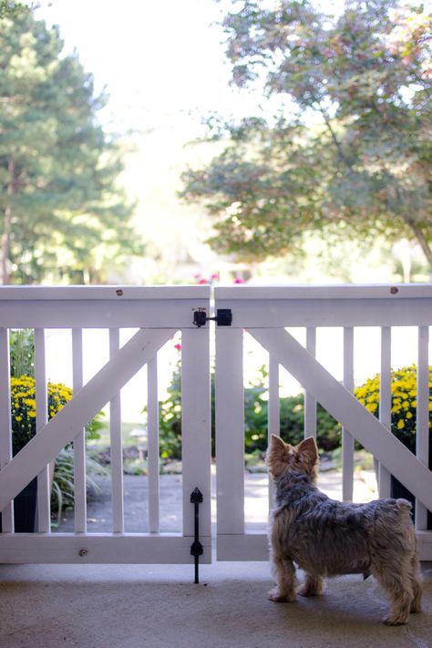 Porch Gate Ideas, Front Porch Gate, Deck Gates, Deck Gate, Porch Gate, Building A Porch, Gate Ideas, Porch Railing, Diy Porch