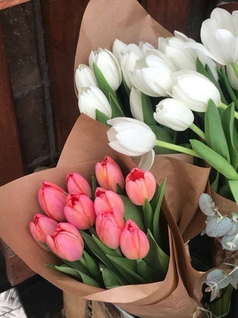 #tulips #flowers Boquette Flowers, Nothing But Flowers, 11k Followers, Flower Therapy, Beautiful Bouquet Of Flowers, Pink Tulips, Spring Vibes, Tulips Flowers, Beautiful Bouquet