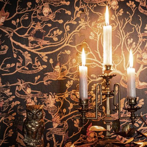 Black Family Tapestry Wallpaper - Tapeçaria da Família Black[:] - Harry Potter Wallpaper/Mural- MinaLima Black Family Wallpaper, Black Family Tapestry, Hogwarts Brief, 12 Grimmauld Place, Family Tapestry, The Noble House Of Black, Grimmauld Place, Noble House Of Black, Tapestry Wallpaper