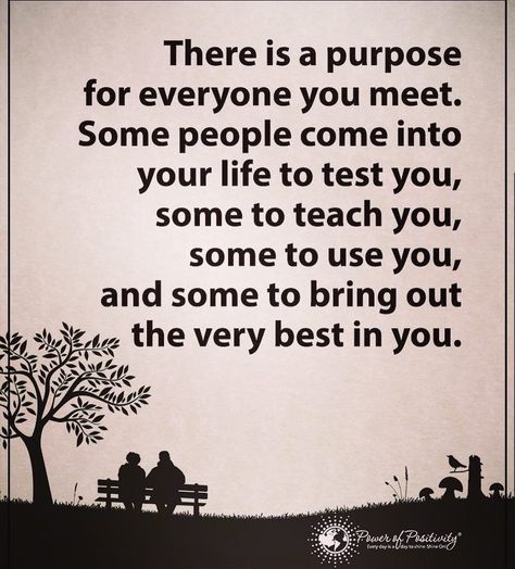 There is a purpose for everyone you meet. Some people come into your life to… Feelings Board, Classic Words, Funny Life Quotes, Spa Stuff, Funny Quotes Tumblr, Over Thinking, Family Quotes Funny, I Quotes, Art Quotes Funny