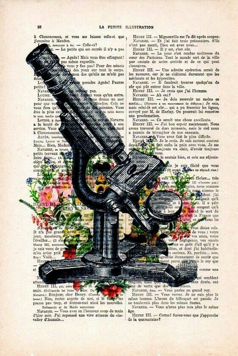 Vintage Science, Biology Art, Newspaper Art, Retro Kunst, Book Page Art, Microscopes, Medical Laboratory, Medical Art, Antique Paper