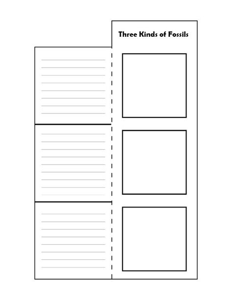 Laapbook Lapbooks Free, Mini Book, Lapbook Templates, Foldables Templates, Lap Book, Lap Book Templates, Interactive Notes, Notebook Templates, Interactive Book