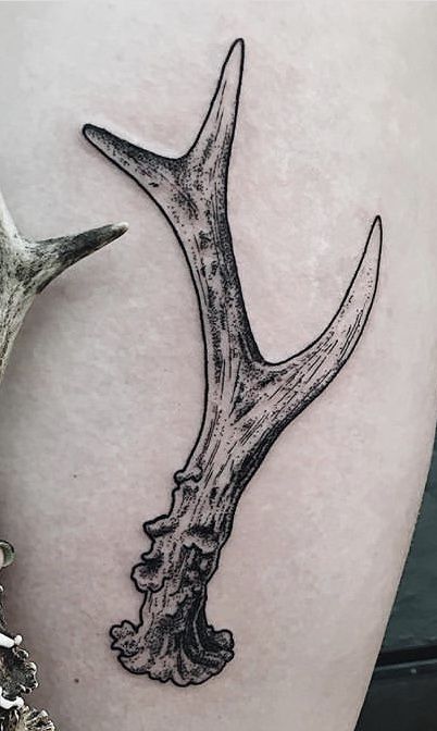 Antlers Tattoo Design, Deer Antler Tattoo Design, White Tail Deer Antler Tattoo, Deer Horn Drawing, Deer Antler Knee Tattoo, Antler Rib Tattoo, Elk Antler Tattoo Men, Antler Knee Tattoo, Deer Back Tattoo