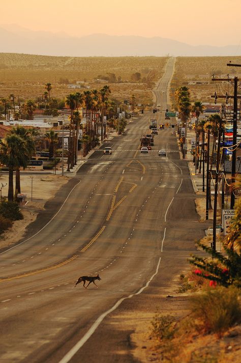 Twentynine Palms, Cali 29 Palms California, American Roadtrip, 29 Palms, Twentynine Palms, Desert Life, Mojave Desert, California Dreamin', Dream Lifestyle, California Dreaming