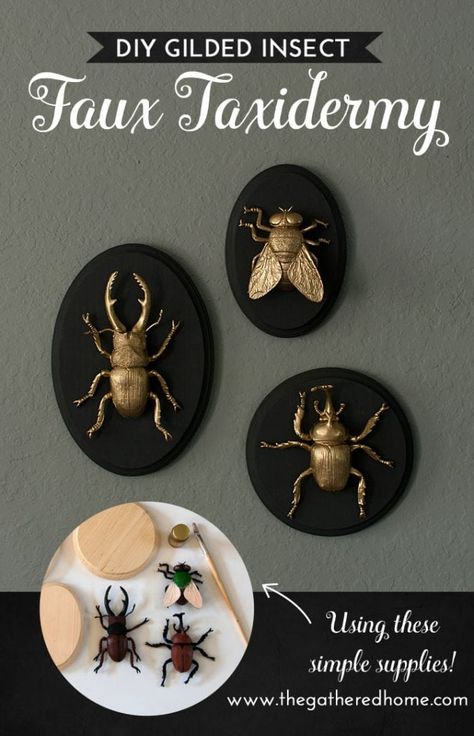 Quick Diy Gifts, Diy Halloween Dekoration, Diy Gifts To Make, Halloween Decor Diy, Insect Taxidermy, Halloween Fest, Diy Halloween Decor, Faux Taxidermy, Quick Diy