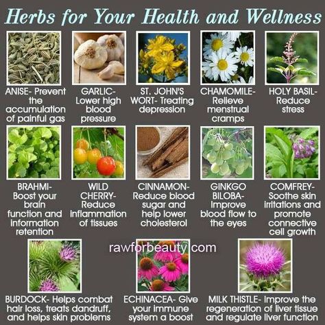 Herbs For Gas, Healthy Herbs, Herbal Healing, Herbal Magic, Holy Basil, Herbs For Health, Health Guide, Herbs And Spices, Healing Herbs