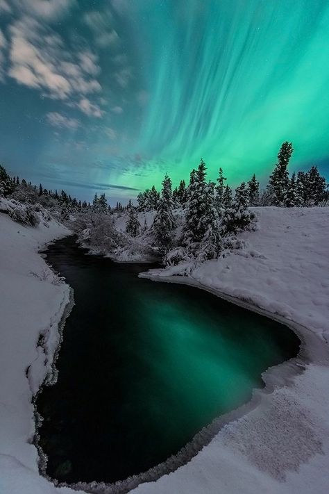 Jonathan Tucker, Whitehorse Yukon, Yukon Canada, The Aurora, Beautiful Places In The World, Canada Travel, Pretty Places, Most Beautiful Places, Dream Vacations