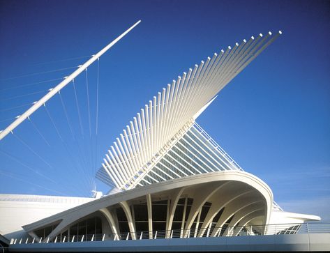 The Milwaukee Art Museum, designed by Santiago Calatrava. He has created so many other amazing structures. Can't wait to see this place in person. Santiago Calatrava Architecture, Museum Logo, Milwaukee Art, Milwaukee Art Museum, Santiago Calatrava, Amazing Buildings, Organic Architecture, Louvre Museum, Chinese Architecture