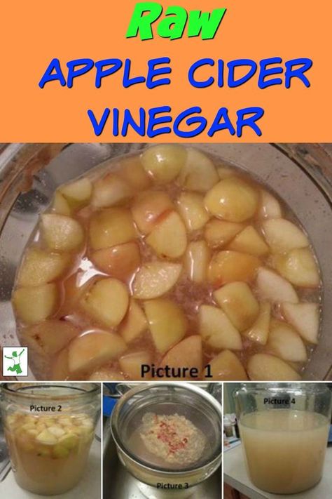 Unpasteurized or raw apple cider vinegar is expensive. So making your own can be a thrifty solution. Here are step-by-step instructions to make your own homemade apple cider vinegar. It is so much easier than you might think. #applecidervinegar #howto #homemade #recipes #homemade  #fermented #thehealthyhomeeconomist Diy Apple Cider Vinegar, Homemade Apple Cider Vinegar, Diy Apple Cider, Make Apple Cider Vinegar, Hard Apple Cider, Diy Apple, Raw Apple Cider Vinegar, Homemade Apple Cider, Cold Sores Remedies