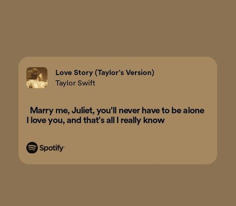 Marry Me Juliet Song, Marry Me Juliet, Taylor S, Marry Me, Love Story, You Never, I Love You, Love You, Songs