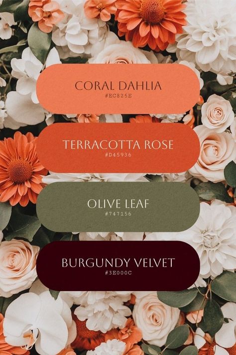 Coral And Burgundy, Rich Fall Color Palette, Cabernet Color Palette Wedding, Orange Sunset Color Palette, Soft Summer Color Palette Wedding, Burgundy Summer Wedding Color Schemes, Coral And Burgundy Wedding, October Wedding Colors Schemes 2025, Wedding Color Palette Terracotta