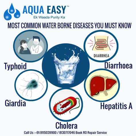 you should know the Waterborne Disease actually are so that you can know about it and then, we will discuss some precautions to stay prevented from this. One more thing, you must have RO purifier to prevent this disease and for a reliable purifier, visit RO Water Purifier repair and service. Ro Purifier, Ro Water Purifier, Water Pollution, Water Resources, Disease Prevention, World Health Organization, The Who, Water Bear, Water Purifier