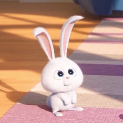 Snowball Bunny, Snowball Rabbit, Rabbit Wallpaper, Bunny Cartoon, Snow Ball, Cute Bunny Cartoon, Bunny Wallpaper, Secret Life Of Pets