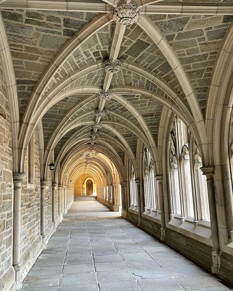 A long outdoor corridor with brown brick and cement arches Prinston University Aesthetic, Prinston University, Princeton University Dorms, Princeton Aesthetic, Princeton University Aesthetic, University Auditorium, Princeton Campus, Princeton University Campus, University Dorms