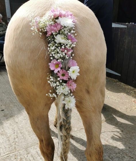 Horses With Flowers In Hair, Horse With Flowers In Hair, Horses With Flowers, Horse Hair Ideas, Horse With Flowers, Horse Braids, Horse Hair Braiding, Horse Halloween Costumes, Horse Halloween