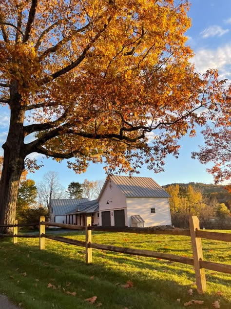 Fall Aesthetic Vermont, Fall Village Aesthetic, Midwestern Fall Aesthetic, Fall In The Country Aesthetic, Fall Aesthetic Thanksgiving, Country Autumn Aesthetic, Autumn Aesthetic 2023, Southern Fall Aesthetic, Vermont Fall Aesthetic