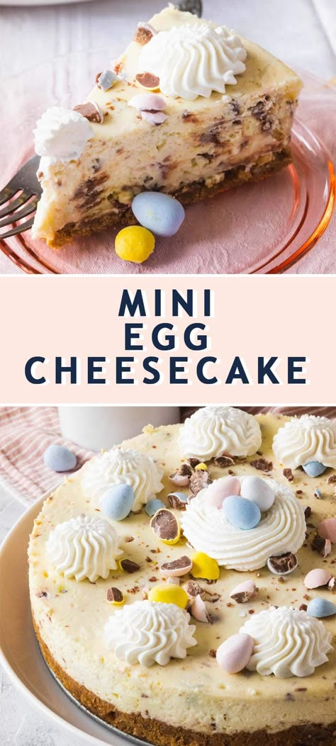 Easter Egg Cheesecake, Mini Egg Cheesecake, Cheesecake Easter, Easter Cheesecake, Bunny Cakes, Desserts Cheesecake, Cadbury Eggs, No Egg Desserts, Cheesecake Mini