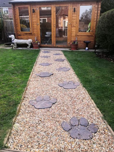 Landscaping Around Dog Kennel, Dog Boarding House, She Shed Dog Grooming, Kennel Boarding Ideas, Dog Grooming Room Ideas At Home, Home Pet Grooming Salon, Shed Grooming Salon Ideas, Dog Boarding Room, Grooming Shed Ideas