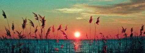 Sunset ~ Fb Cover Photos Summer, Scenery Facebook Cover Photos, Cool Cover Photos Facebook, Sunset Cover Photo, Nature Facebook Cover, Cover Photos Facebook Aesthetic Vintage, Fb Cover Pic, Cool Cover Photos, Cool Facebook Covers