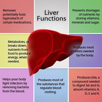 Struktur Teks, Healthy Detox Cleanse, Detox Your Liver, Nursing School Notes, Nursing Tips, Medical Anatomy, Anatomy Physiology, Healthy Liver, Liver Detox