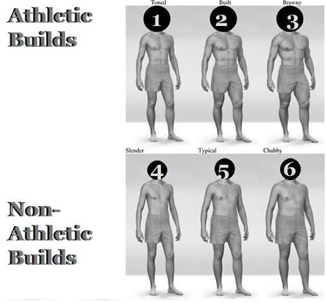 body type chart for men Body Types Chart, Mens Body Types, Type Chart, Man Anatomy, Haircut Types, Ripped Abs, Flat Abs, Body Anatomy, Square Body