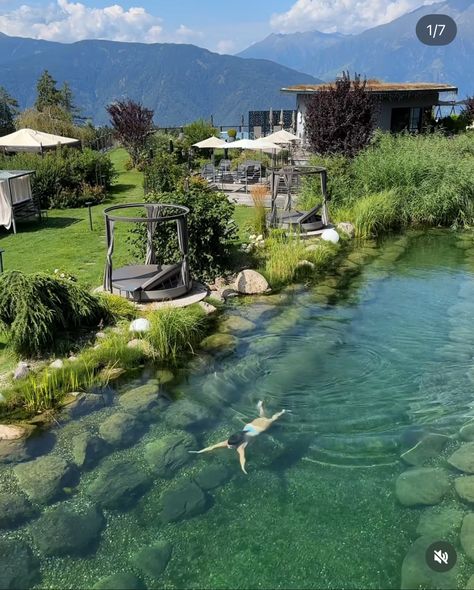 Natural Swimming Pools Backyard, Eco Pools Natural Swimming Ponds, Swimming Ponds Backyard, Large Pond Ideas, Natural Pond Pool, Natural Pools Backyard, Natural Swimming Pool Designs, Natural Pools Backyard Swimming Ponds, Natural Looking Pools