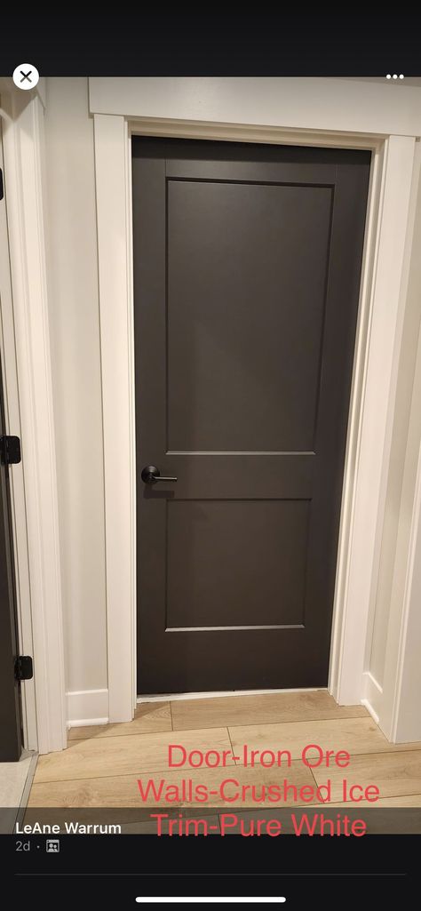 Colored Doors White Trim, Black Flat Panel Interior Doors, Slate Interior Doors, Alabaster Walls With Black Doors, Iron Ore Sherwin Williams Interior Doors, Interior Dark Doors, Interior Door Colors With White Walls, Urbane Bronze Doors Interior, Dark Brown Interior Doors