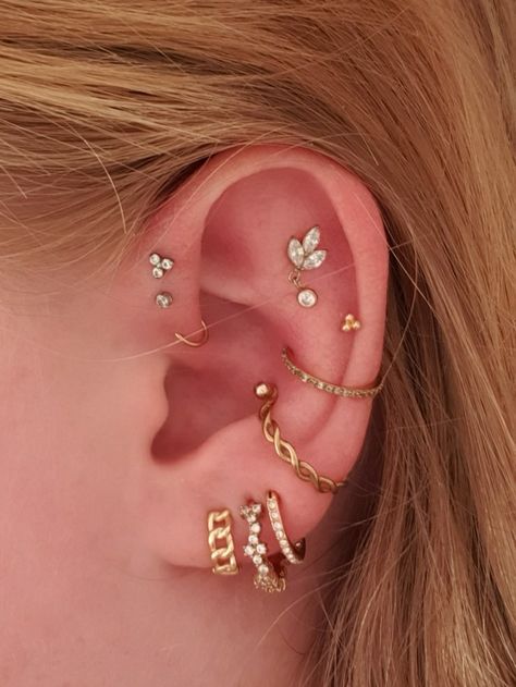 Piercings, double conch, tripple forward Helix, flat, helix, lobe, Gold jewelery Piercings Forward Helix Ear, Forward Helix And Conch Piercing, Double Forward Helix Piercing, Double Conch, Curated Ear Piercing, Ear Piercing Inspiration, Piercing Lobe, Minimalist Ear Piercings, Piercing Collection