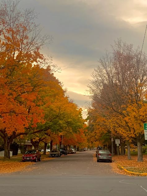 #montana #fall #aesthetic #leaves #trees #halloween #pretty Fall Aesthetic Leaves, Pretty Fall Wallpapers, Romanticizing Fall, Montana Fall, November Moodboard, My Favorite Color Is October, Tis Autumn, Aesthetic Leaves, Cozy Aesthetics