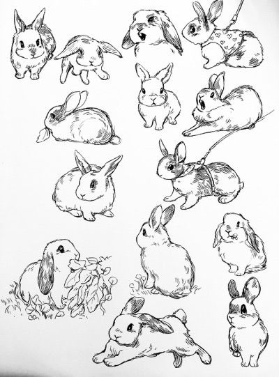 Rabbit Art Illustration, Hase Tattoos, Bunny Sketch, Bunny Drawings, Bev Johnson, Bunny Sketches, Bunny Tattoo, Rabbit Drawing, Bunny Tattoos