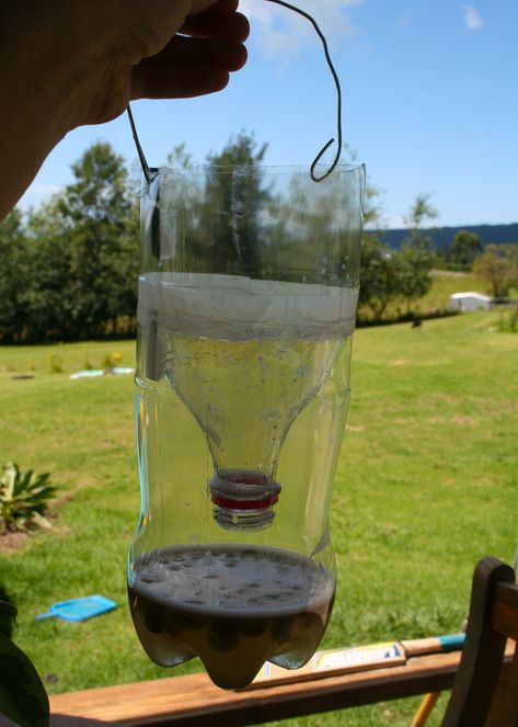 How to Make a Homemade Fly Trap with a Regular Plastic Bottle - Clean Eating with kids How To Catch Flies, Horsefly Trap, House Fly Traps, Best Fly Trap, Flies Trap Diy, Homemade Fly Traps, Plastic Bottle House, Diy Fly Trap, Fly Bait