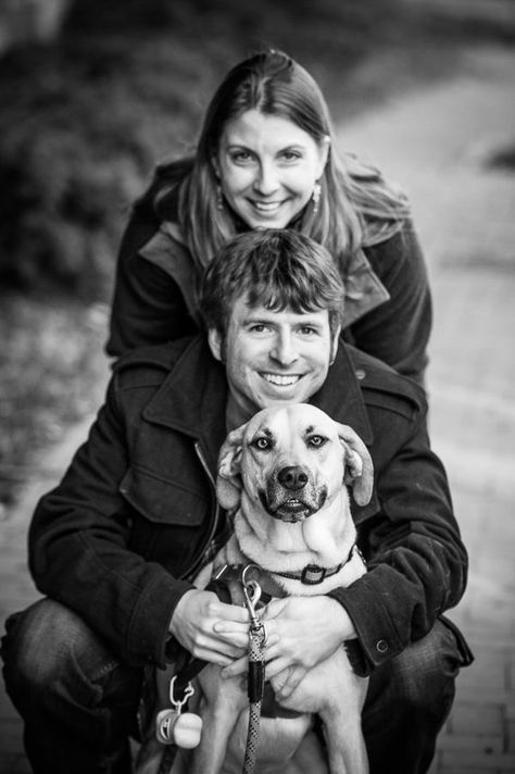 Shooting Photo Studio, Shooting Photo Couple, Dog Family Pictures, Family Dog Photos, Family Pet Photography, Dog Photography Poses, Animal Photoshoot, Photos With Dog, Engagement Pictures Poses