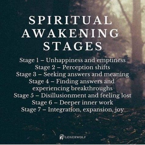 Spiritual Awakening Stages, Christ Consciousness, Spiritual Awakening Quotes, Spiritual Awakening Signs, Spiritual Evolution, Awakening Quotes, Higher Consciousness, Spiritual Enlightenment, Spiritual Wisdom