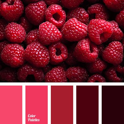 Cold berry palette shifts gradually from lilac to dark burgundy. This elegant color range is bound to look good in a bedroom and will create an unusual atm. In Color Balance, Color Palette Ideas, Wall Living Room, Red Colour Palette, Palette Ideas, Warm Palette, Raspberry Color, Color Palate, Design Seeds