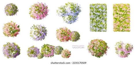 Vector watercolor blooming flower,tree or forest top view isolated on white background for landscape plan and architecture drawing,elements for environment and garden,botanical in spring Top View Flower, Forest Top View, Flowers Top View, Drawing Elements, Shrubs For Landscaping, Trees Top View, Tree Photoshop, Garden Botanical, Architectural Plants