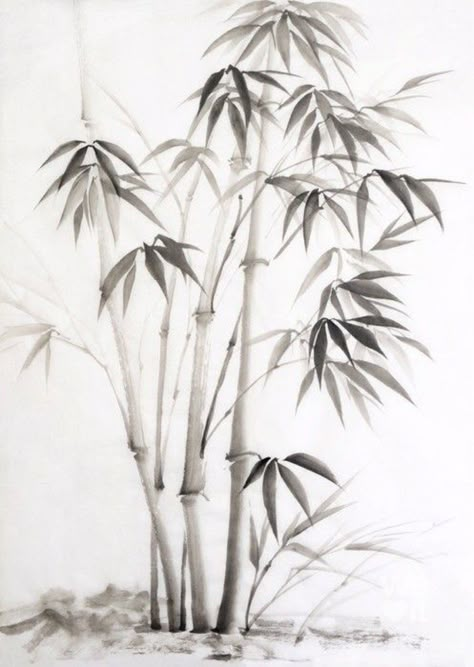 Bamboo Drawing, Watercolor Japanese, Bamboo Trees, Bamboo Tattoo, Sumi E Painting, Fu Dog, Chinese Art Painting, Trees Art, Bamboo Art