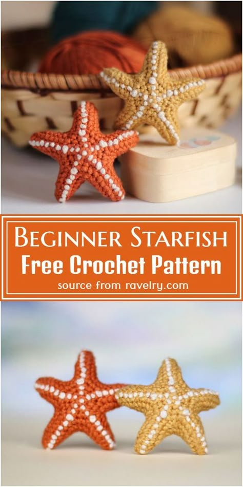 Sea Shell Crochet Pattern Free, Beachy Crochet Patterns, Crochet Clam Shell Pattern Free, Crocheted Starfish, Crochet Aquarium, Starfish Crochet, Crochet Seashell, Crochet Shells, Crochet Ocean