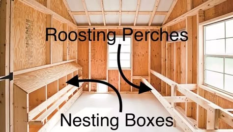 Inside a Chicken Coop | 8 Important Interior Features Inside A Chicken Coop, Inside Chicken Coop, Chicken Roost, Walk In Chicken Coop, Easy Chicken Coop, Cute Chicken Coops, Chicken Shed, Chicken Barn, Clean Chicken